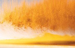 Épicé