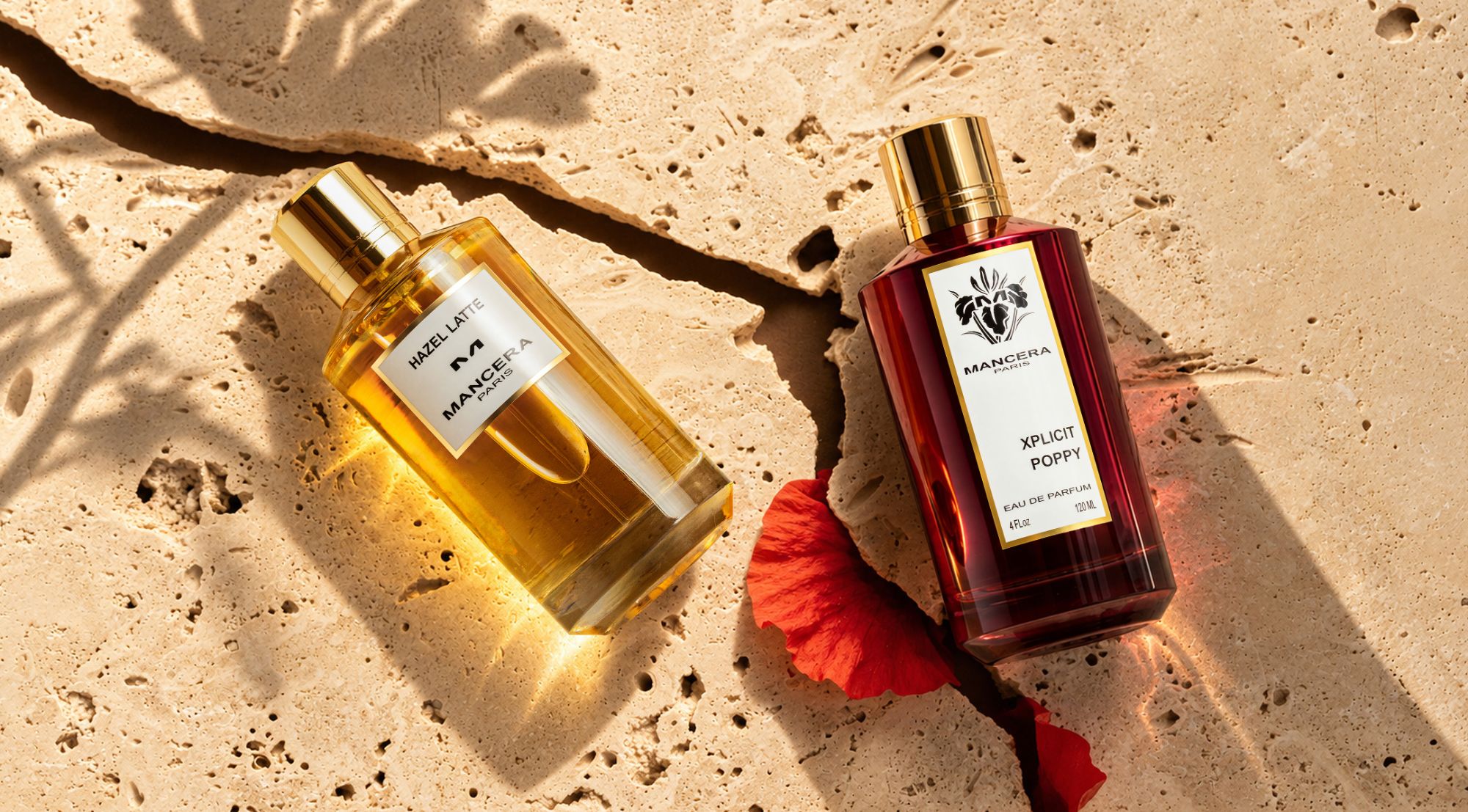 Fall's New Obsessions