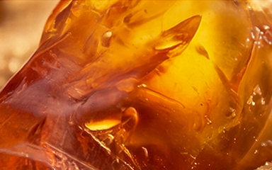 Amber